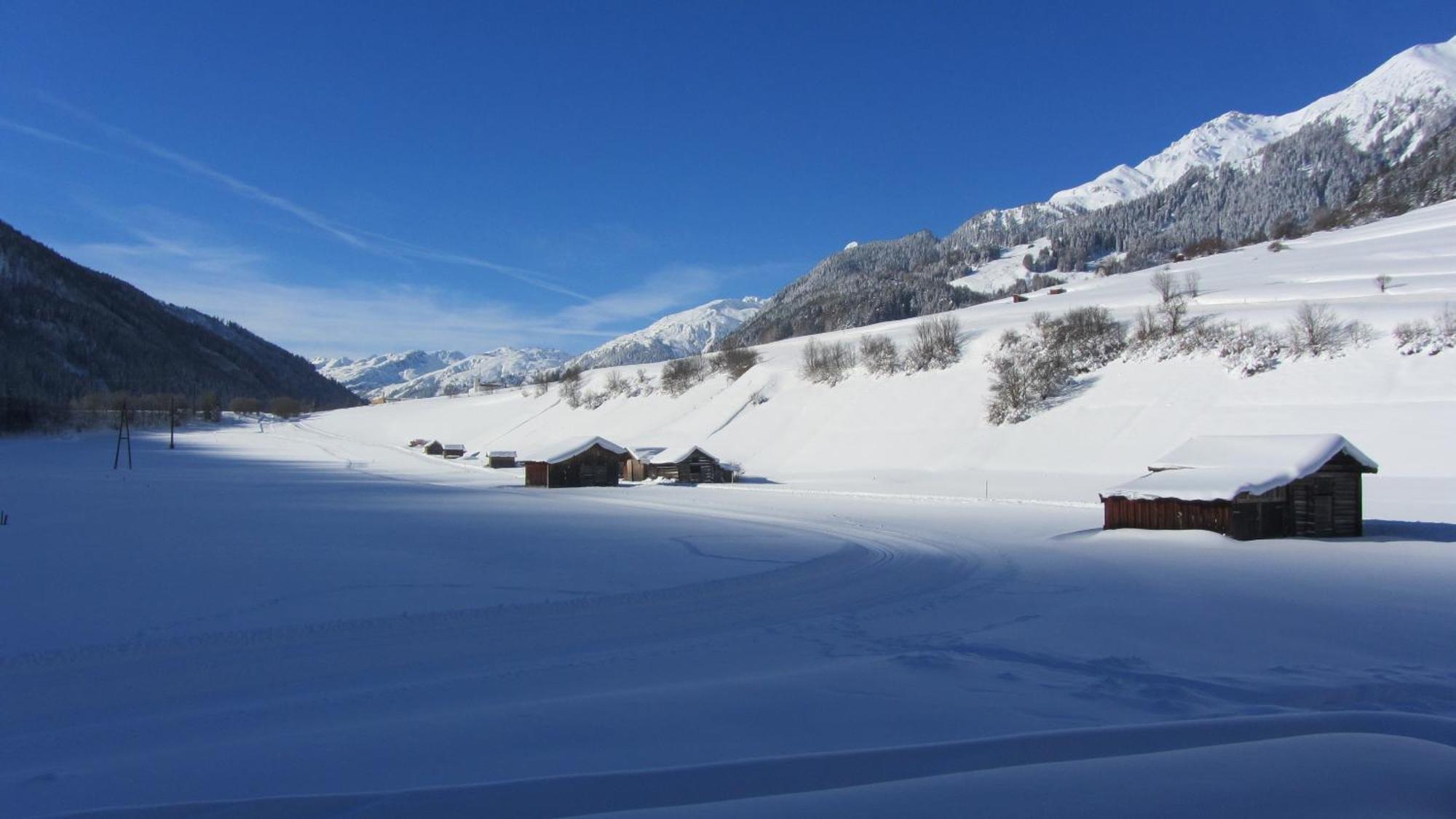 Apart Stella Alpina Pettneu am Arlberg Eksteriør bilde