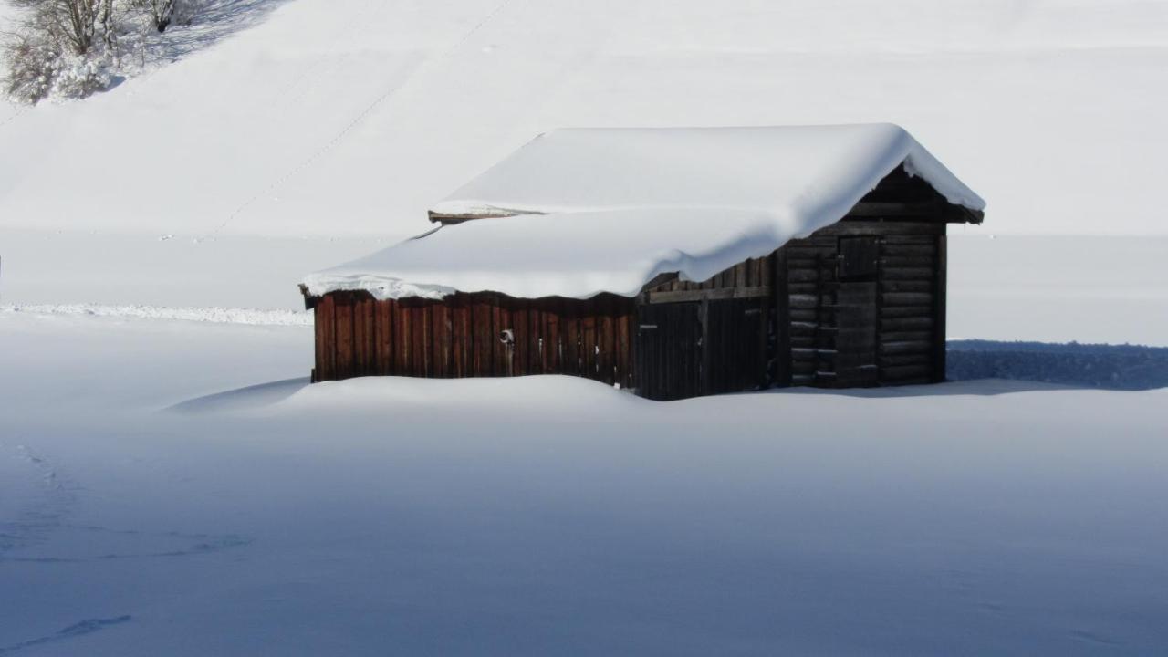 Apart Stella Alpina Pettneu am Arlberg Eksteriør bilde